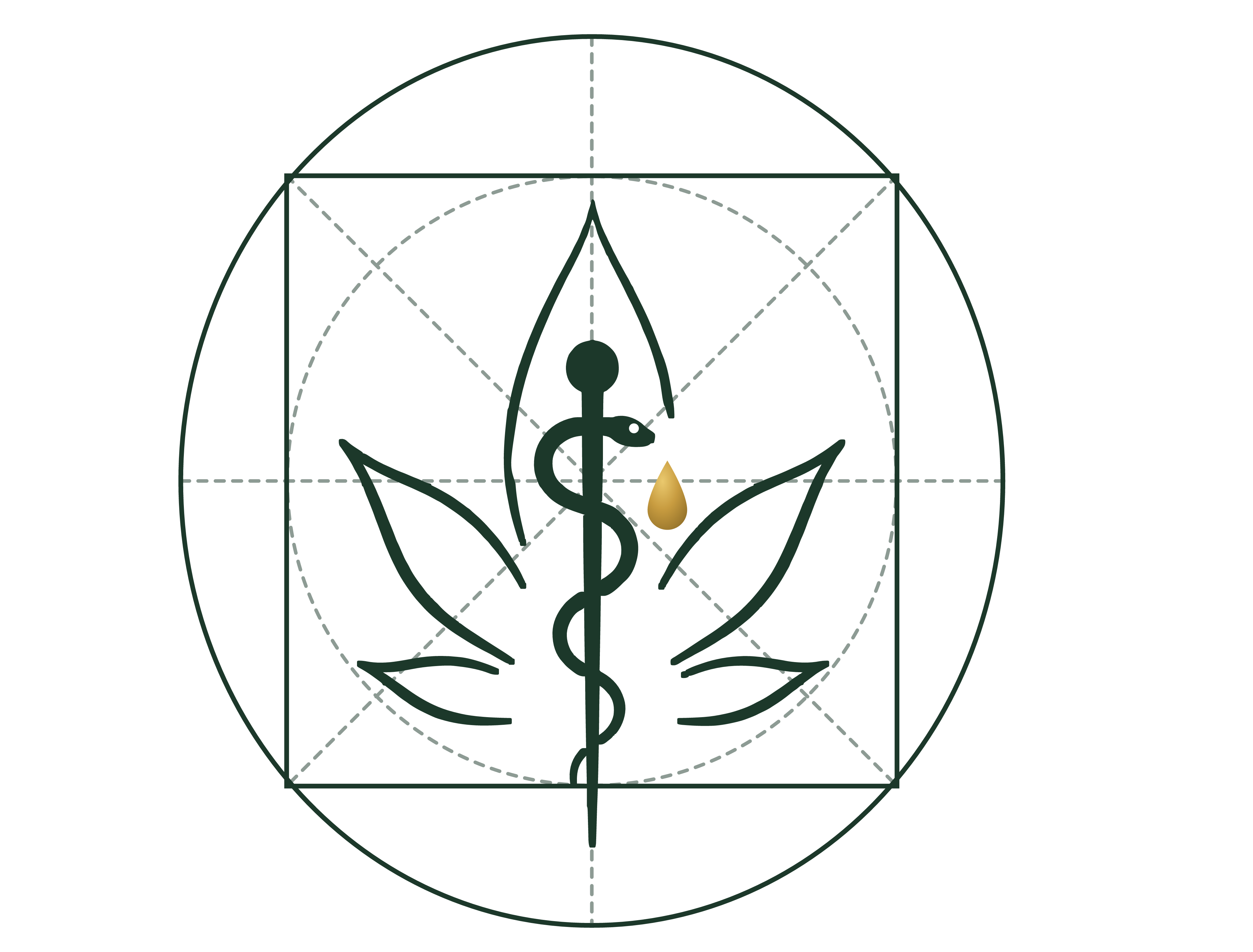 VitaCannMed